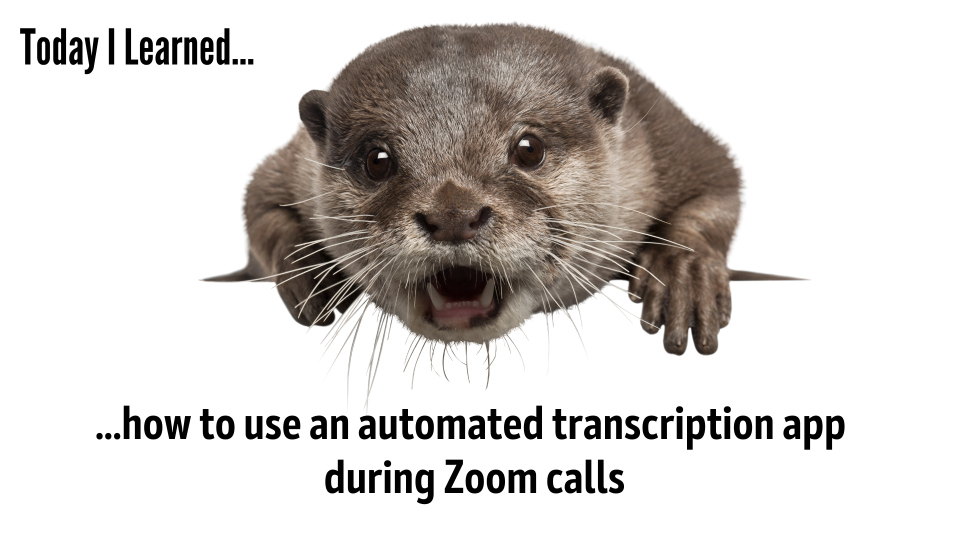 How to Use an Automated Transcription App During Zoom Calls